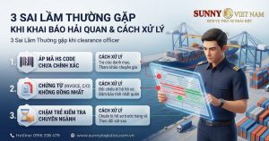 3 Sai lầm khai báo Hải quan thường gặp & Cách xử lý | Sunny Việt Nam
